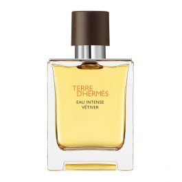 Terre d'Hermès Eau Intense Vétiver – 100ml herenparfum