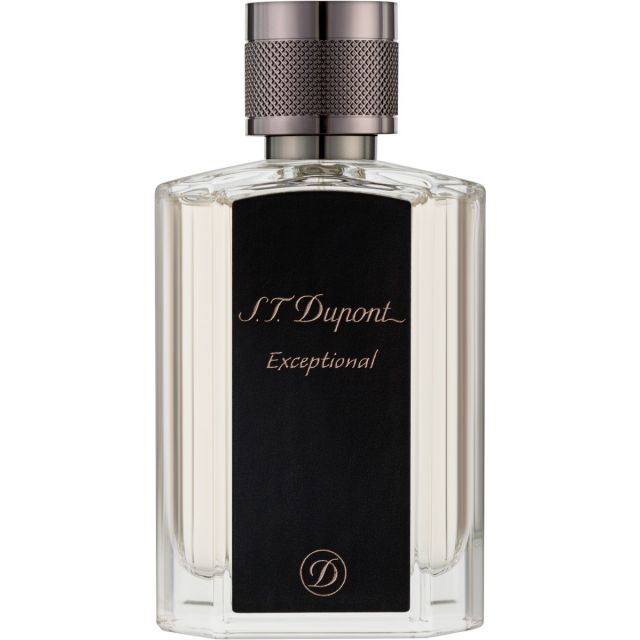 S.T. Dupont Exceptional 100ml eau de parfum spray