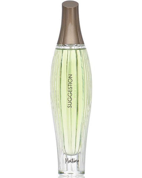 Montana Suggestion Pour Lui 100ml eau de toilette spray