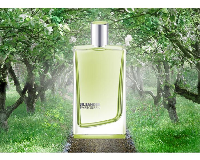 De Toilette Jil Sander Evergreen Set Jil Sander Evergreen Parfum