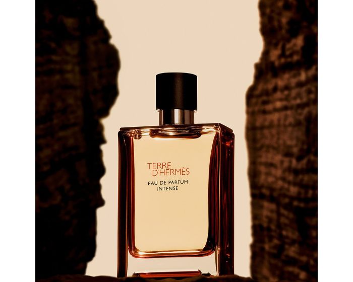 Terre d'Hermès Eau de Parfum Intense 100ml eau de parfum spray