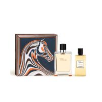 Hermès Terre d'Hermès Set 100ml eau de toilette + 80ml Showergel 